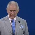 Le roi charles iii cop28 screenshot dwnews