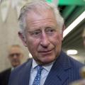 Prince charles flickr 1