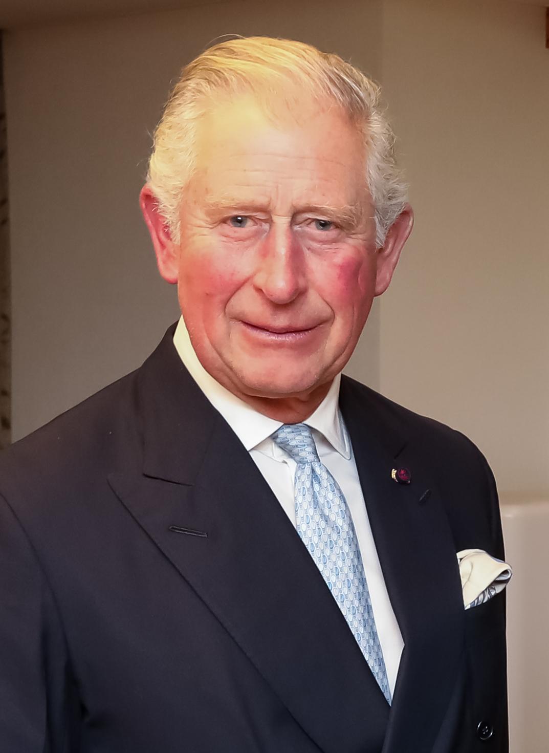 Prince charles jose diaspr