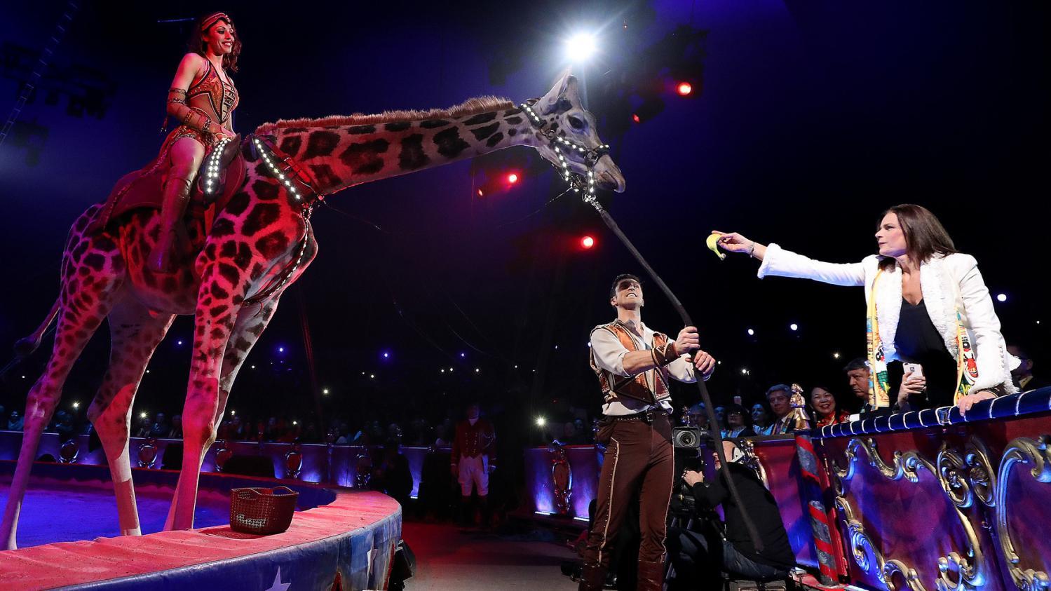 Stephanie de monaco et le cirque sebastien nogier pool afp